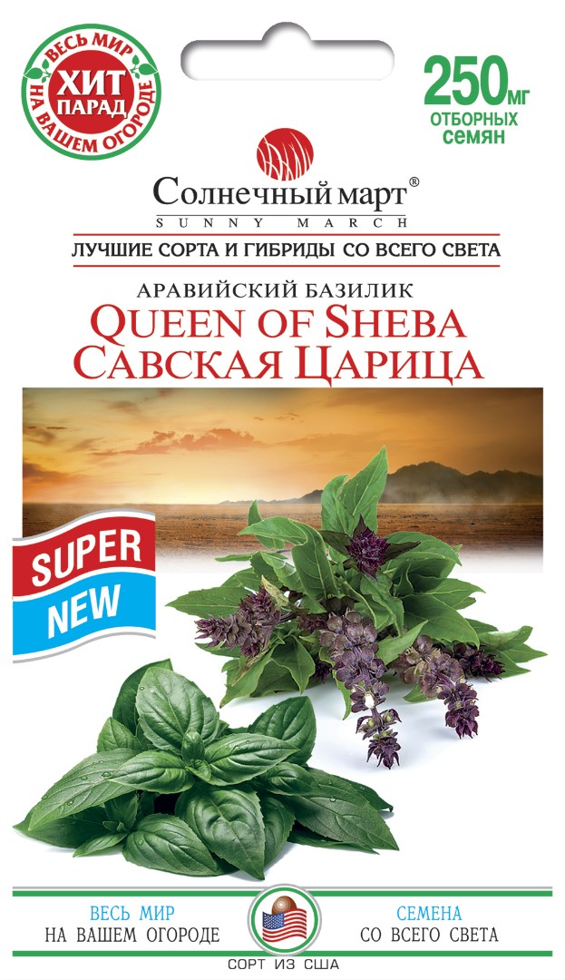 Базилик Савская Царица